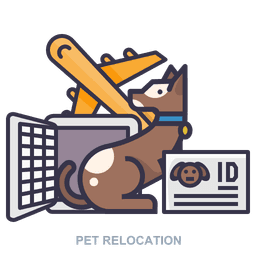Pet Relocation & Luxury Pet It